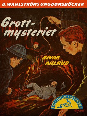 cover image of Tvillingdetektiverna 30--Grott-mysteriet